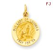 14K Gold Our Lady of Lourdes Medal Charm