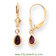 14K Gold Rhodolite Earrings - June