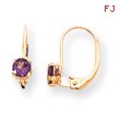 14K Gold Round February Amethyst Leverback  Earrings