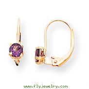 14K Gold Round February Amethyst Leverback  Earrings