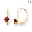 14K Gold Round June Rhodolite Leverback Earrings