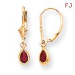 14K Gold Ruby Earrings - July