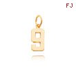 14K Gold Small Polished Number 9 Charm