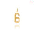 14K Gold Small Satin Number 6 Charm