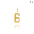 14K Gold Small Satin Number 6 Charm