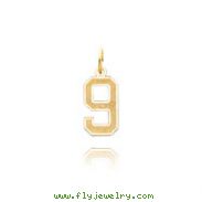 14K Gold Small Satin Number 9 Charm
