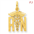 14k Nurse Charm