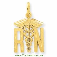 14k Nurse Charm