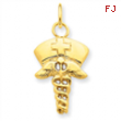 14k Nurse Symbol Charm