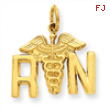 14k Registered Nurse Charm