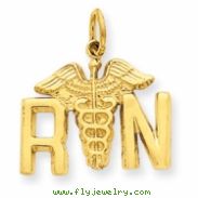 14k Registered Nurse Charm