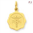 14k Registered Nurse Disc Charm