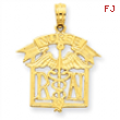 14k Registered Nurse Pendant