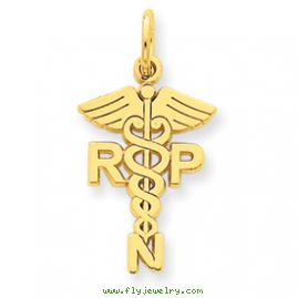 14k Registered Nurse Practitioner Charm