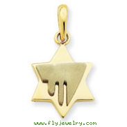 14K Two-Tone Gold Chai on Star of David Pendant