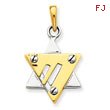 14K Two-Tone Gold Star of David Pendant