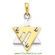 14K Two-Tone Gold Star of David Pendant