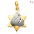 14K Two-Tone Gold Star of David Pendant