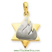 14K Two-Tone Gold Star of David Pendant