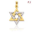 14K Two-Tone Gold Star Of David Pendant