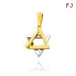 14K Two-Tone Star of David Charm