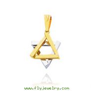 14K Two-Tone Star of David Charm