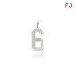 14K White Gold Small Satin Number 6 Charm