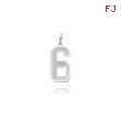 14K White Gold Small Satin Number 6 Charm