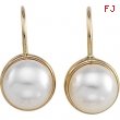 14K Yellow Gold Pair Lever Back Earring With Pearl