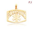 14K Yellow Gold Paramedic Pendant