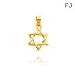 14K Yellow Gold Polished Star of David Charm