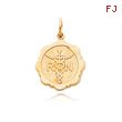 14K Yellow Gold Registered Nurse Disc Charm