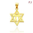 14K Yellow Gold Star of David Chai Charm