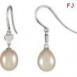 14kt White COMPLETE WITH STONE EARRINGS 25.00X06.85 MM Polished NONE