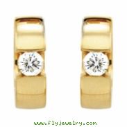 14kt White Pair 1/2 CTW Diamond Hinged Earring