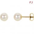 14KW PAIR 06.00 MM P AKOYA CULTURED PEARL EARRINGS