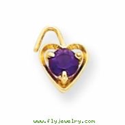 14ky February Birthstone Heart Charm