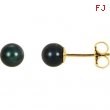 14KY PAIR 05.00 MM P BLACK PEARL EARRING