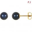 14KY PAIR 06.00 MM P BLACK PEARL EARRING