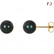 14KY PAIR 07.00 MM P BLACK PEARL EARRING