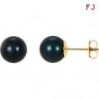 14KY PAIR 08.00 MM P BLACK PEARL EARRING