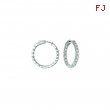 15 Pointer hoop earrings/patented snap lock