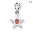 Sterling Silver January CZ Birthstone Star Charm