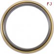 Titanium & 14K Yellow 6MM/4.25MM TI_14KY ROTATING BAND Rotating Band